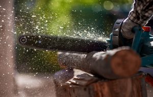Four West Virginians in the running (and sawing) for national lumberjack championship